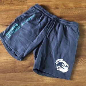 Jurassic World gray sweat shorts in size M